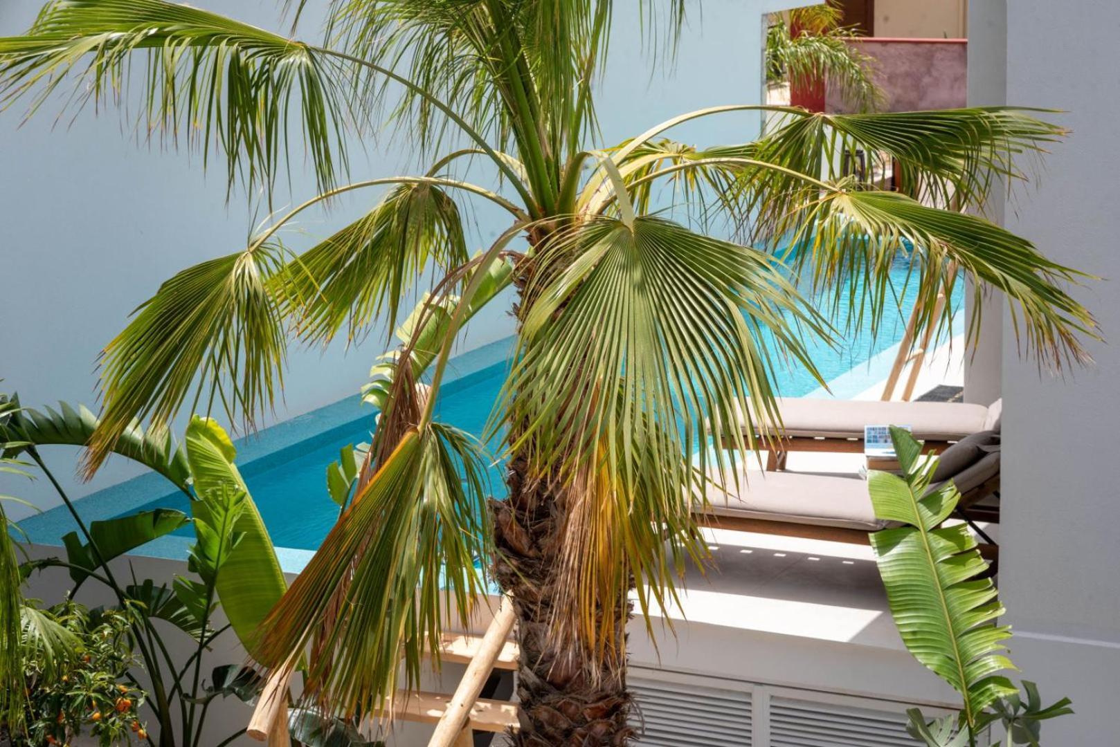 D Palm Premium Living - Kalathas, Chania La Canea Esterno foto